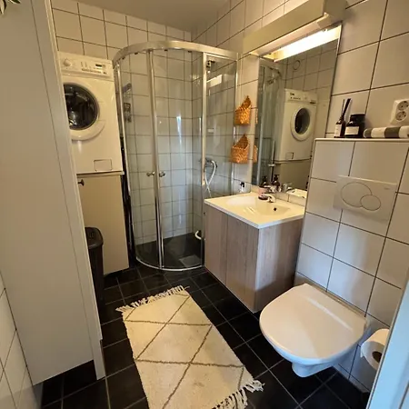 公寓 Roldal In Out