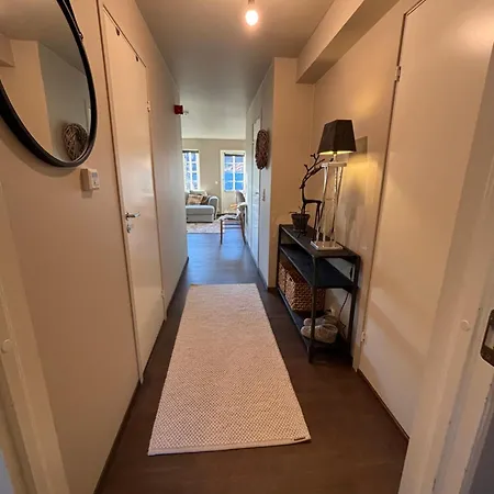 公寓 Roldal In Out