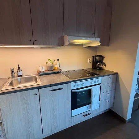 Roldal In Out * Hara