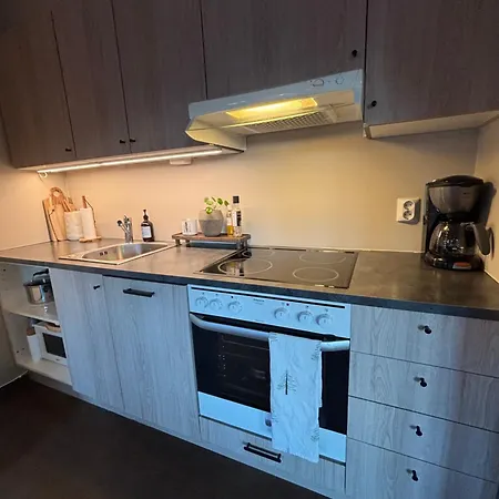 Roldal In Out Apartment Hara