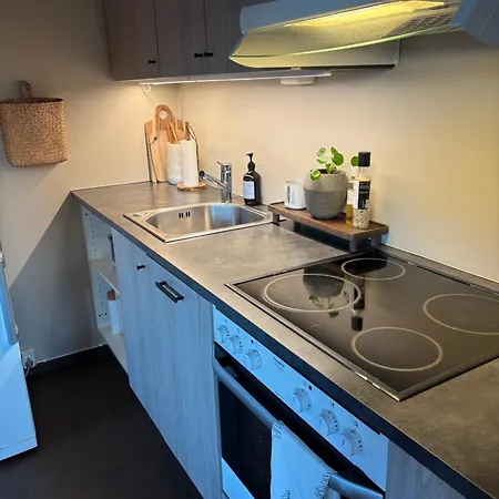 Apartment Roldal In Out Hara