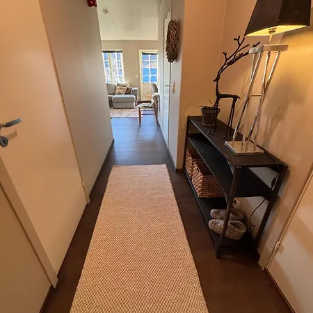 Roldal In Out 公寓 *