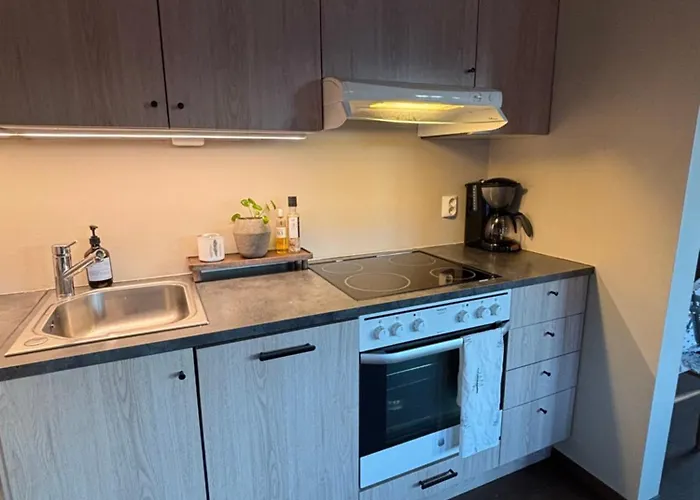 Roldal In Out * Hara